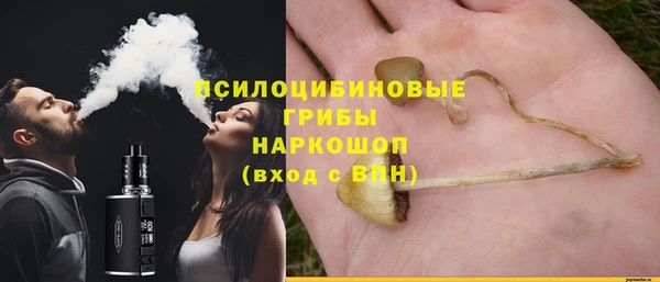 каннабис Бородино