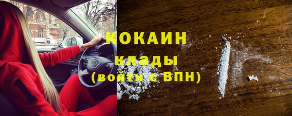 apvp Богданович