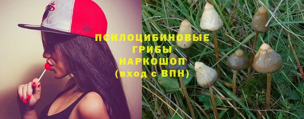 СК Бугульма